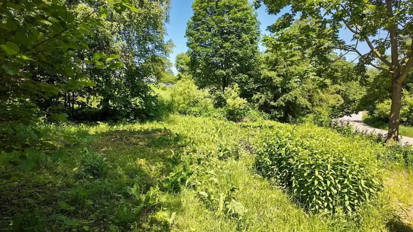 Prodej pozemku pro bydlení, Rokytnice v Orlických horách, 271 m2