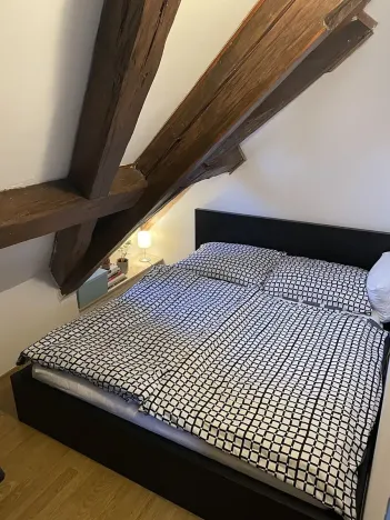 Pronájem bytu 1+1, Liberec, nám. Českých bratří, 40 m2