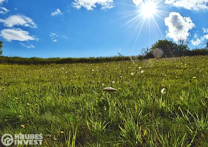 Prodej pozemku pro bydlení, Hnátnice, 2169 m2