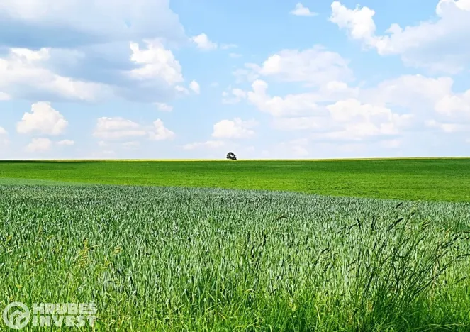 Prodej pozemku pro bydlení, Dlouhá Loučka, 1515 m2