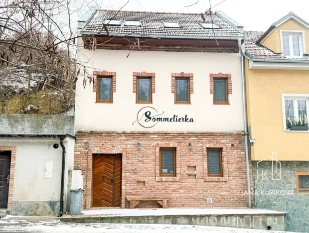 Pronájem ubytování, Valtice, Josefská, 251 m2