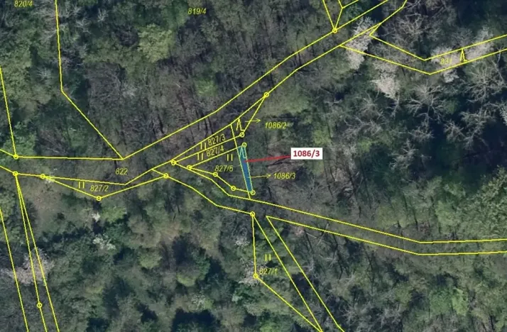 Dražba lesa, Zubrnice, 18 m2