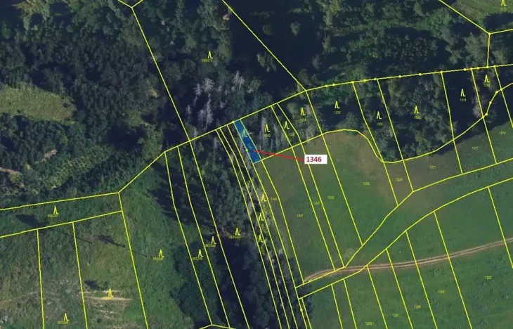 Dražba lesa, Spešov, 135 m2