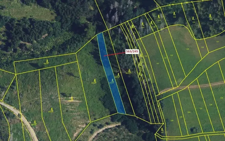 Dražba lesa, Spešov, 1009 m2