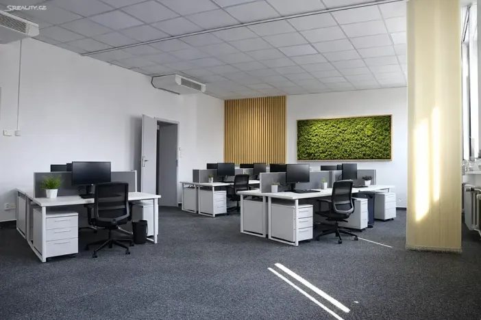 Pronájem kanceláře, Brno, Moravské náměstí, 78 m2