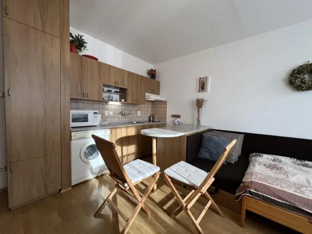 Pronájem bytu 1+kk, Třeboň - Třeboň II, U Francouzů, 28 m2