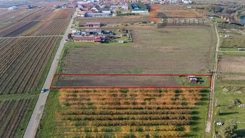 Prodej sadu/vinice, Velké Bílovice, U Rybníka, 2791 m2