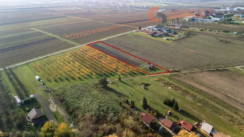 Prodej sadu/vinice, Velké Bílovice, U Rybníka, 2791 m2