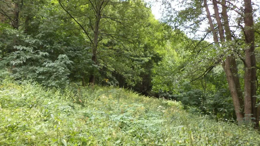 Prodej pozemku, Svoboda nad Úpou, 947 m2