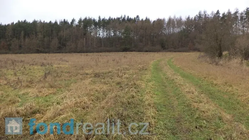 Prodej pole, Srby, 24690 m2