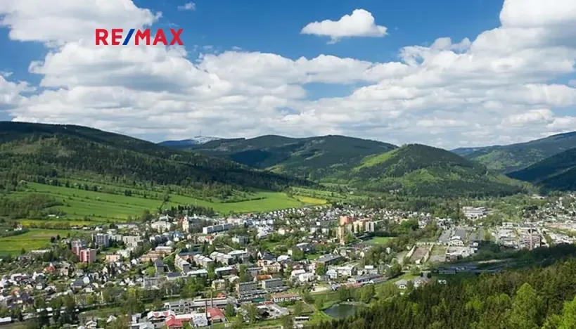 Prodej bytu 1+kk, Vrbno pod Pradědem, Žižkova, 55 m2