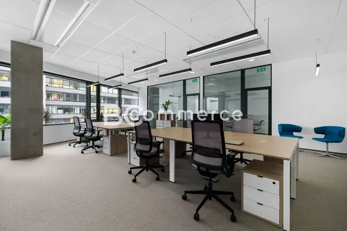 Pronájem kanceláře, Brno, 310 m2