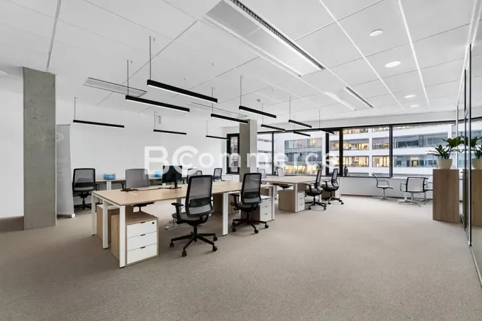 Pronájem kanceláře, Brno, 310 m2