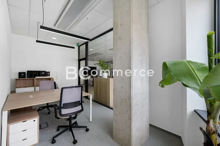 Pronájem kanceláře, Brno, 310 m2