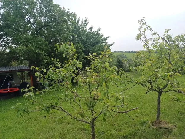 Prodej chaty, Slavkov u Brna, 92 m2