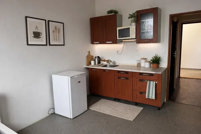 Pronájem bytu 1+kk, Klatovy, U Slunce, 22 m2