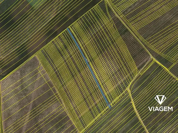 Prodej pole, Prušánky, 1303 m2