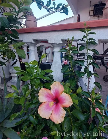 Prodej rodinného domu, Scalea, Kalábrie, Itálie, 72 m2