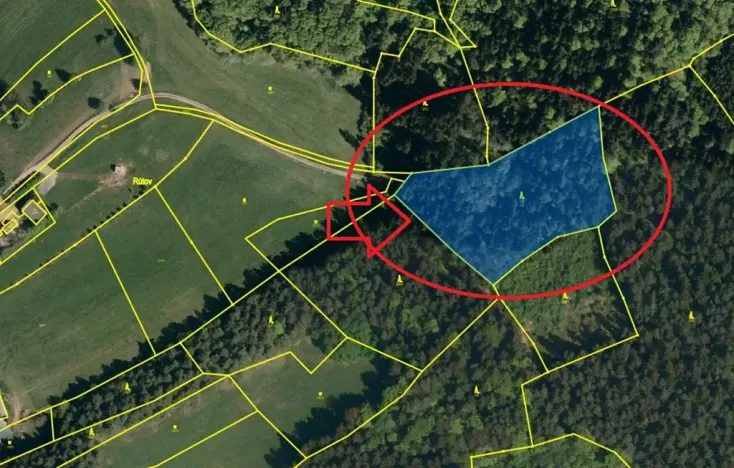 Prodej podílu lesa, Francova Lhota, 1929 m2