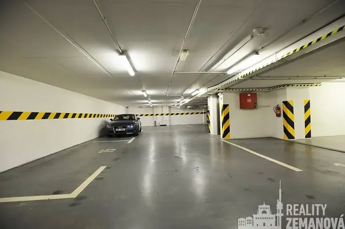 Pronájem bytu 2+kk, Praha - Vinohrady, Mánesova, 91 m2