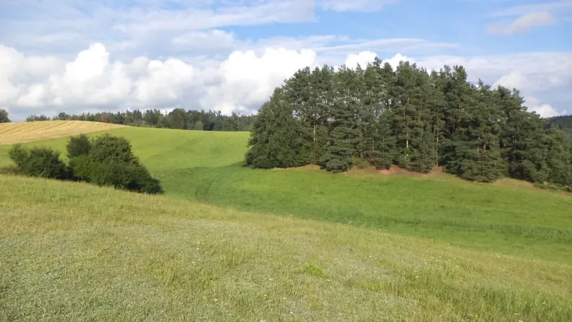 Prodej pozemku, Dolní Dobrouč, 34731 m2