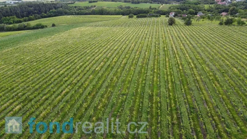 Prodej pozemku, Újezdec, 7374 m2