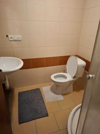 Pronájem bytu 1+kk, Přáslavice, 27 m2