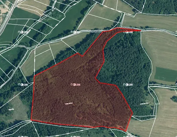 Prodej lesa, Volenice, 84000 m2