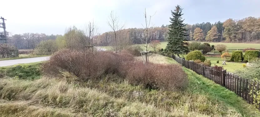 Prodej pozemku, Lázně Bělohrad, 1005 m2