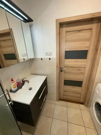 Pronájem bytu 1+kk, Brno, Dřevařská, 40 m2