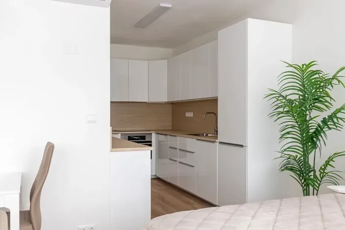 Pronájem bytu 1+kk, Brno, Lidická, 41 m2