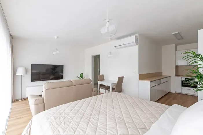 Pronájem bytu 1+kk, Brno, Lidická, 41 m2