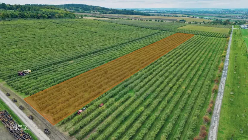 Prodej sadu/vinice, Červené Pečky, 13966 m2