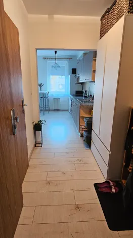 Pronájem bytu 1+kk, Velké Meziříčí, Školní, 29 m2