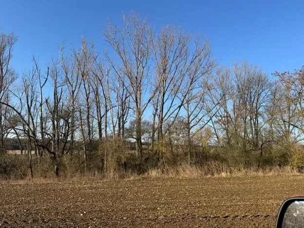 Prodej lesa, Mělnické Vtelno, 2736 m2