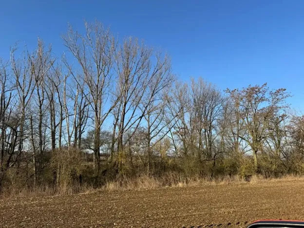 Prodej lesa, Mělnické Vtelno, 2736 m2