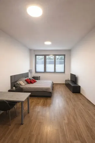 Pronájem bytu 1+kk, Praha - Libeň, Kurta Konráda, 39 m2