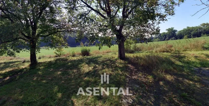 Prodej pole, Ostrava - Slezská Ostrava, Zvěřinská, 44468 m2