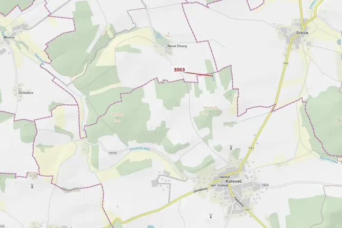 Dražba lesa, Koloveč, 703 m2