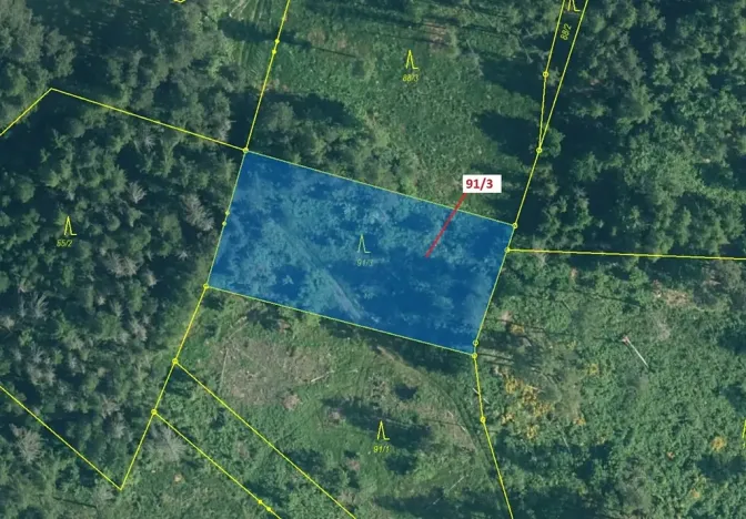 Dražba lesa, Pačejov, 1958 m2