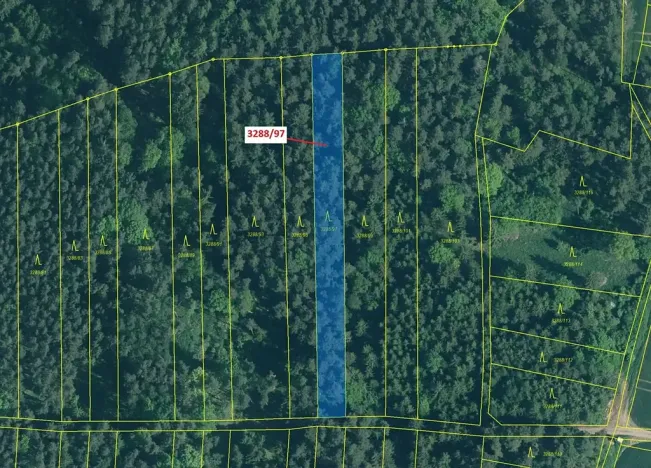 Dražba lesa, Hosty, 1729 m2