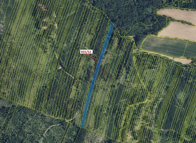 Dražba lesa, Nová Hradečná, 12014 m2