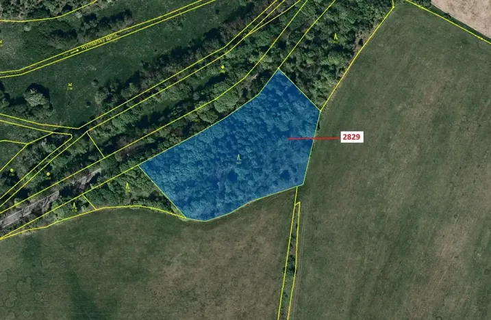 Dražba lesa, Budišov nad Budišovkou, 7776 m2