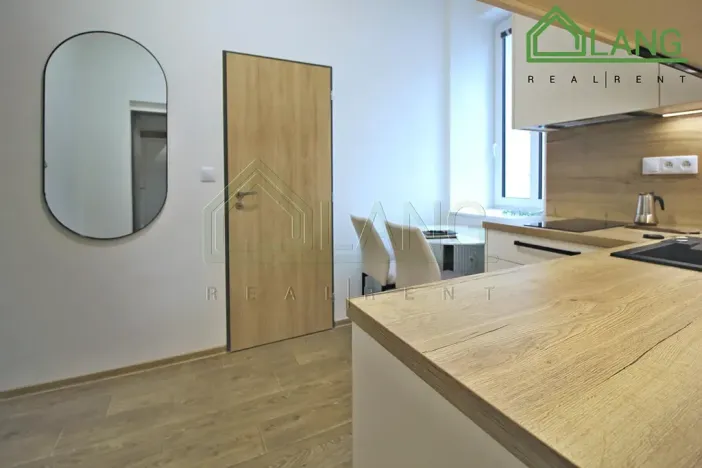 Pronájem bytu 1+1, Brno, Koliště, 24 m2