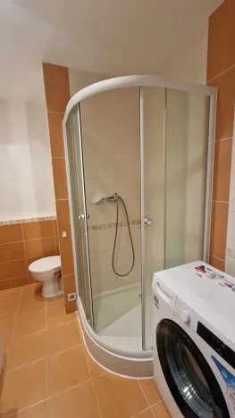 Pronájem bytu 1+kk, Plzeň, Jesenická, 32 m2