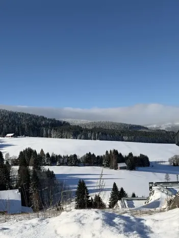 Prodej rodinného domu, Loučná pod Klínovcem, 486 m2