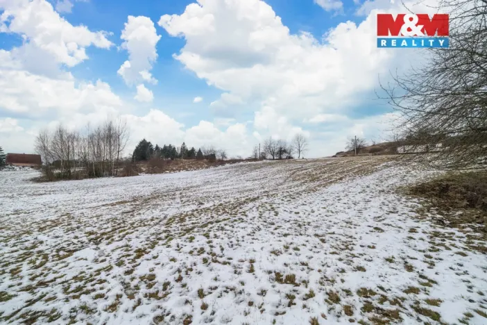 Prodej pozemku pro bydlení, Břasy - Vranovice, 3877 m2