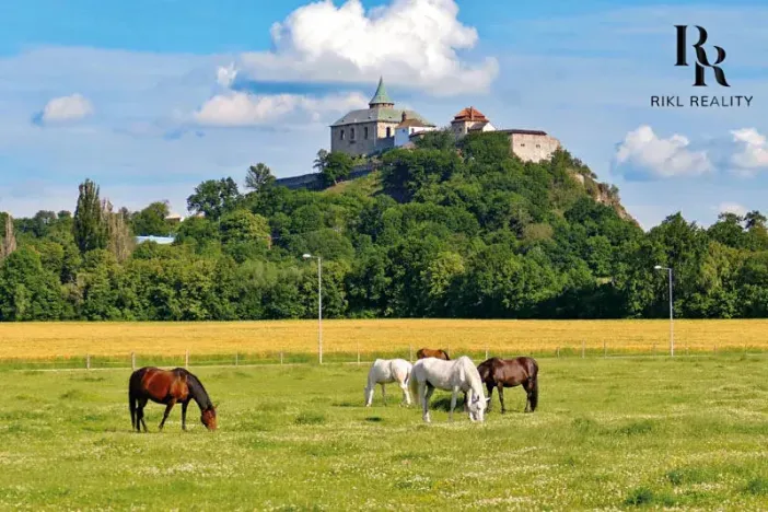 Prodej pozemku pro bydlení, Ráby, 981 m2