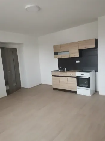 Pronájem bytu 1+kk, Chotěšov, Ořechová, 29 m2