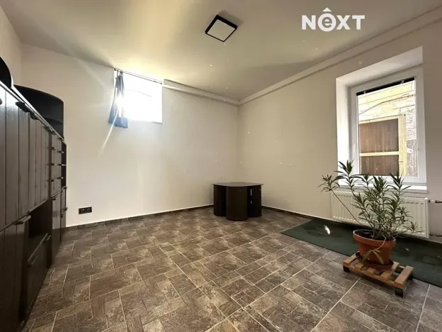 Pronájem bytu 4+kk, Plchov, 120 m2